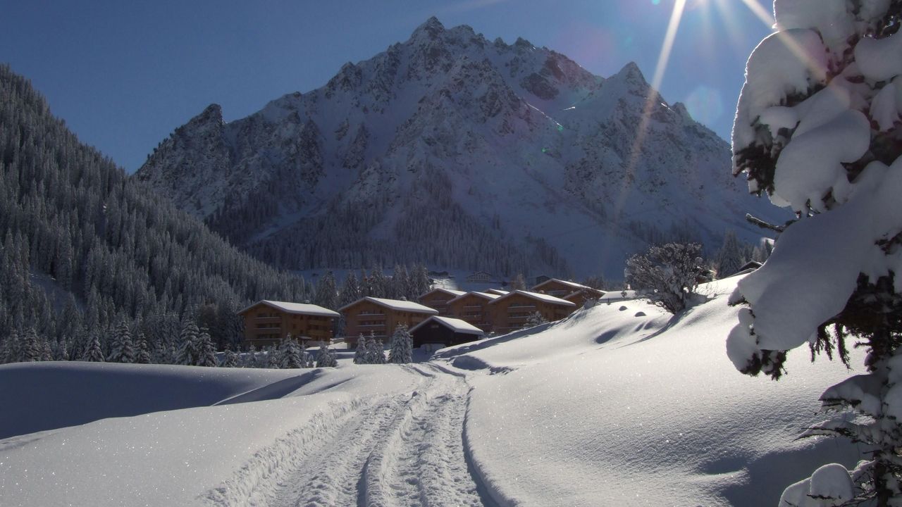 Neuschnee_Wintermorgen Neuschnee_Wintermorgen
